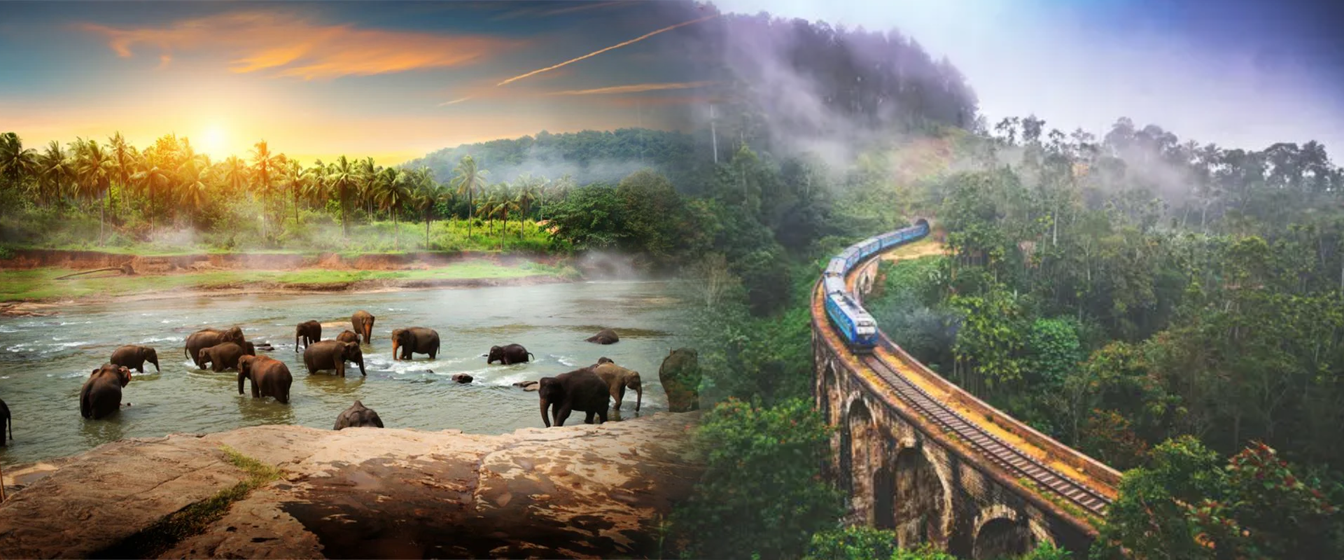 Alt text for the image