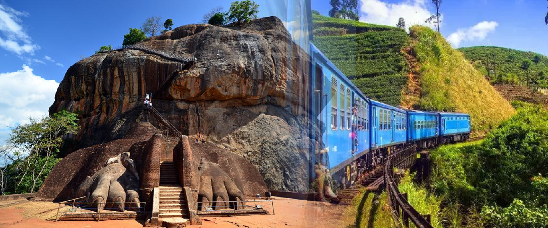 Alt text for the image